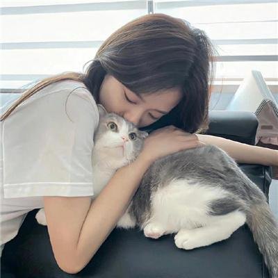 飞虎